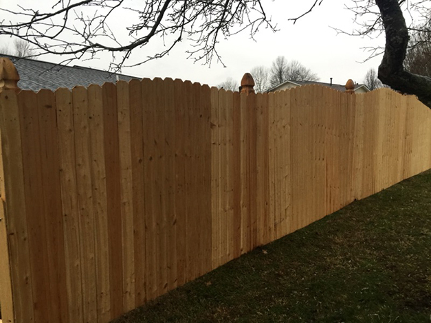 wood fence in knoxville backyard