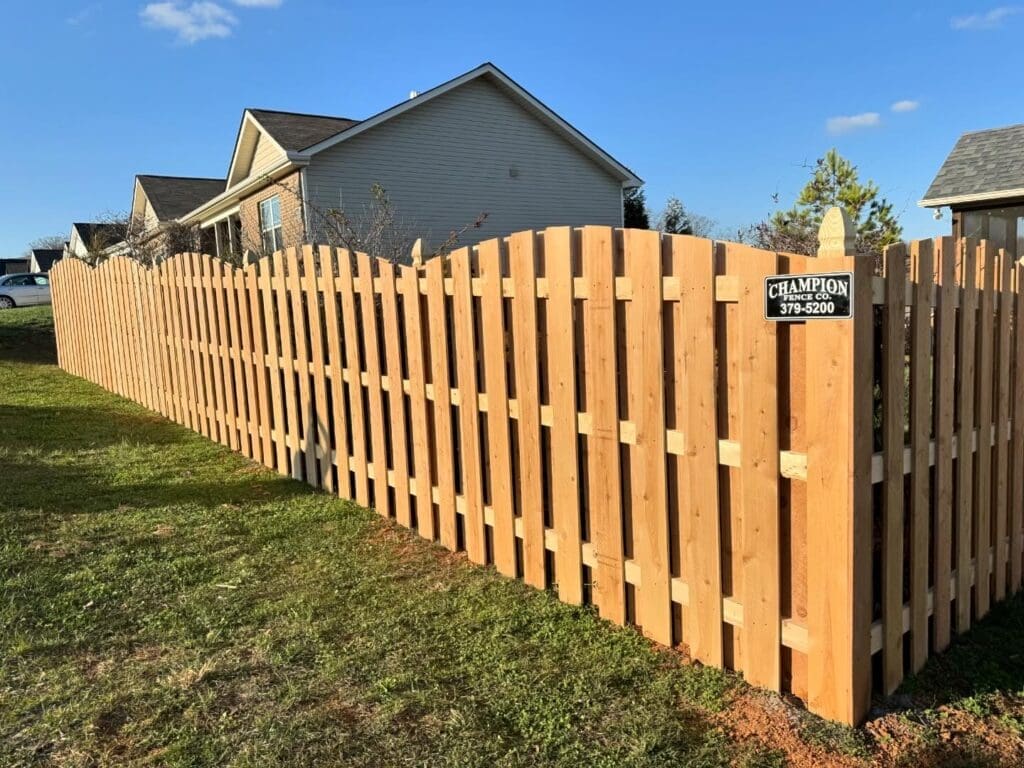 Cedar Fence