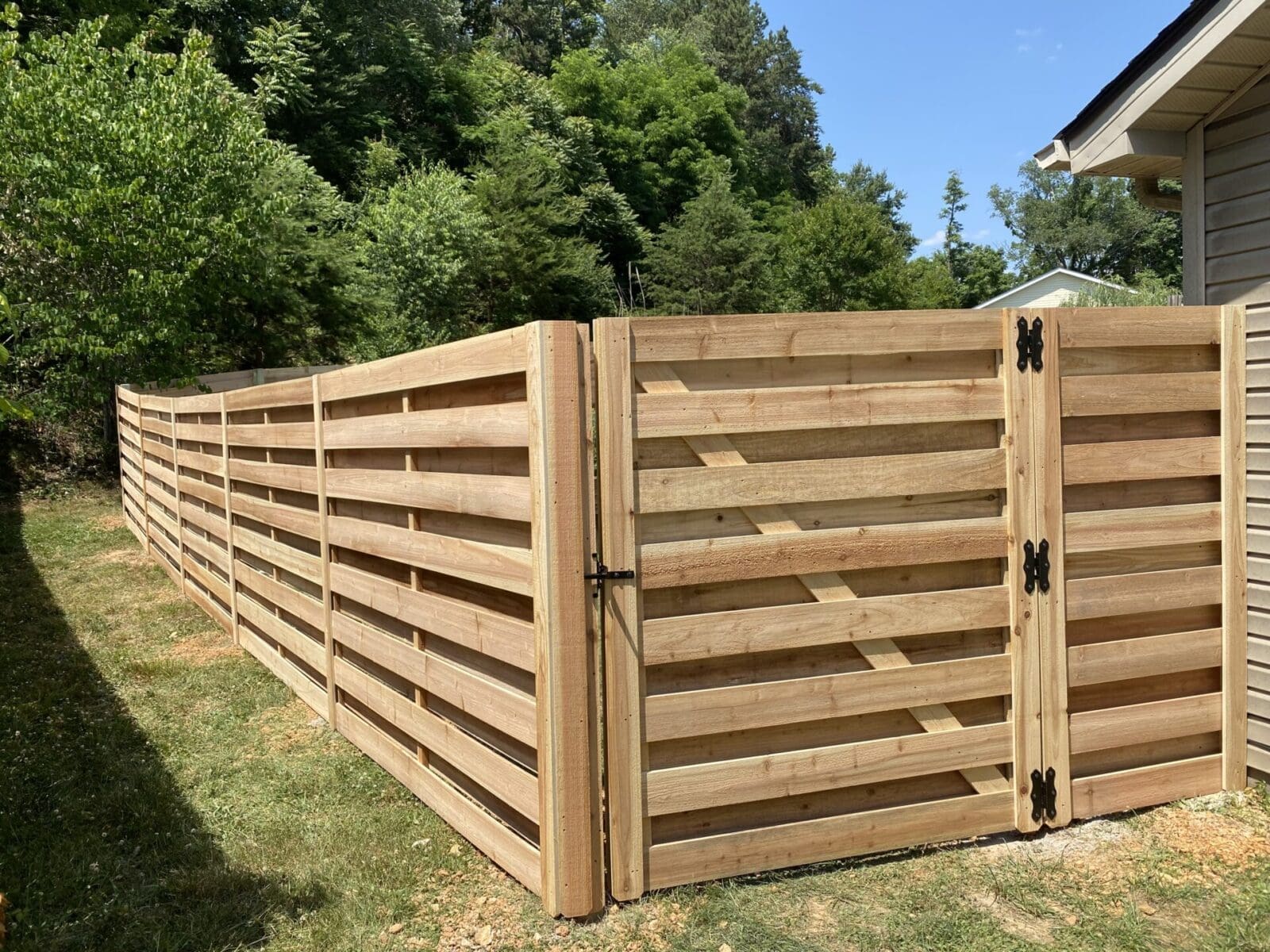 Cedar Fence