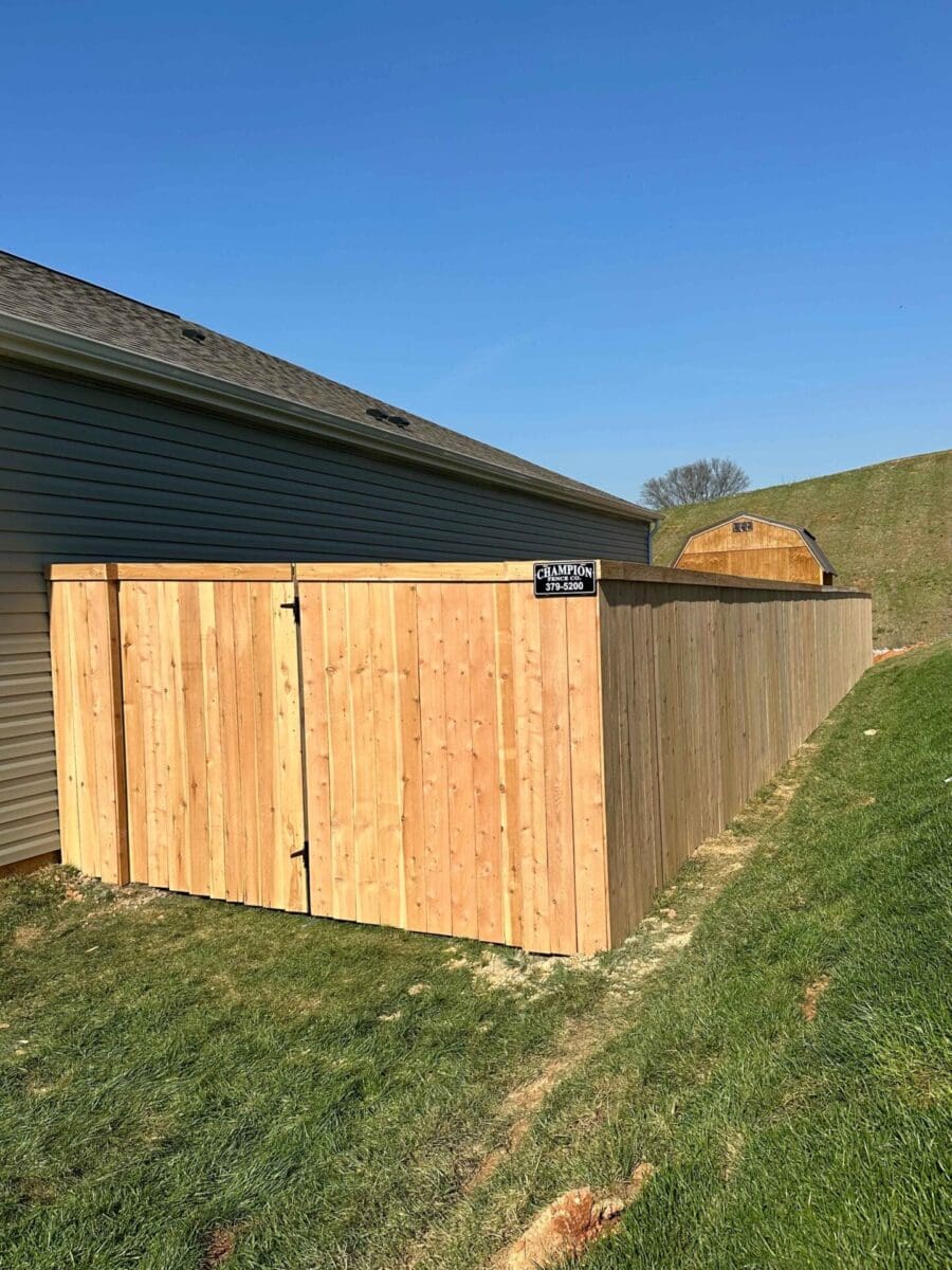 Cedar Fence