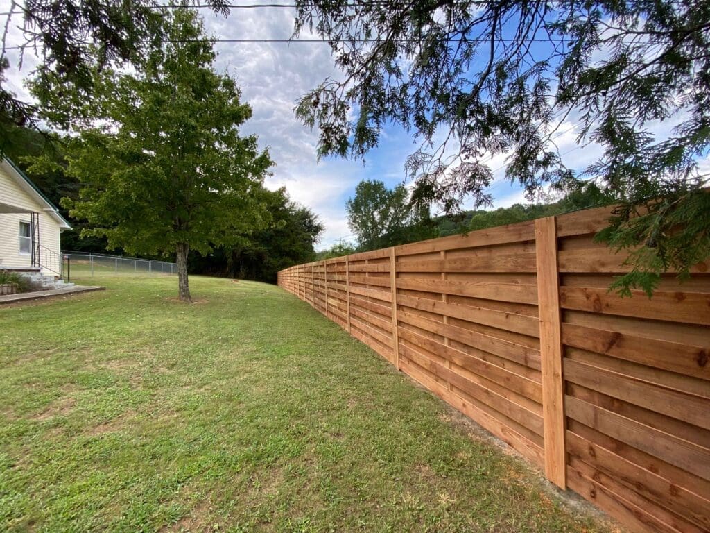 Cedar Fence