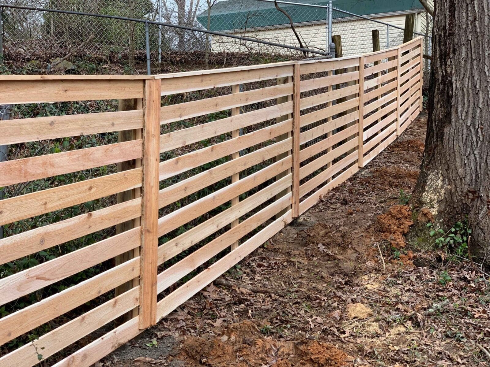 Cedar Fence