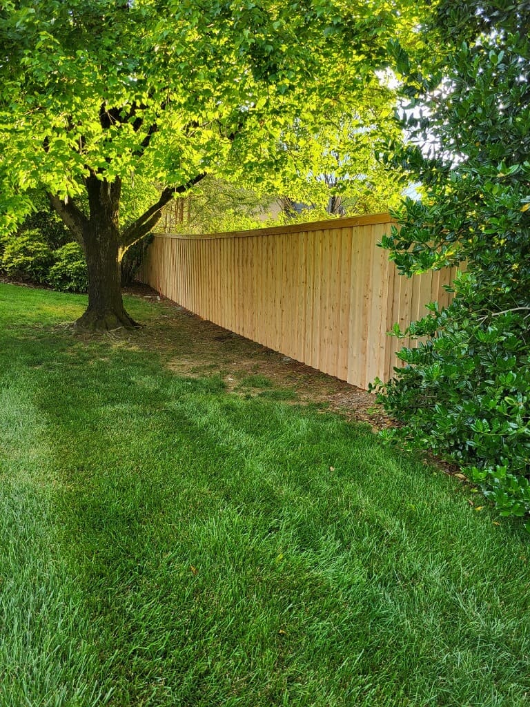 Cedar Fence